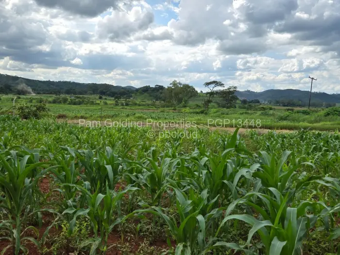 Residential Stand for Sale in Mazowe, Mazowe