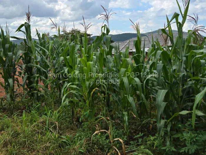 Residential Stand for Sale in Mazowe, Mazowe