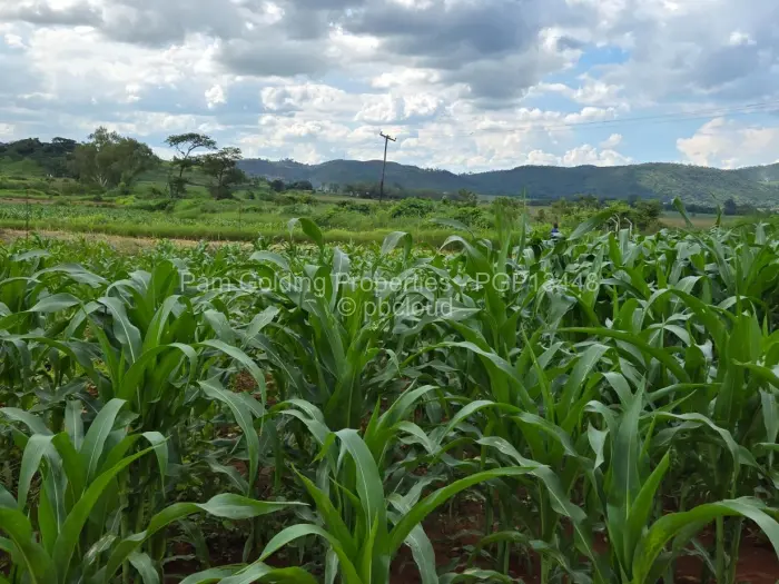 Residential Stand for Sale in Mazowe, Mazowe