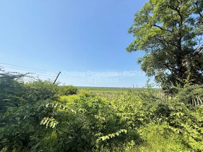 Farm/Plot for Sale in Nyamandlovu, Bulawayo