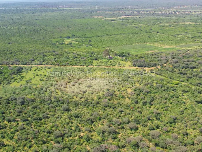 Farm/Plot for Sale in Nyamandlovu, Bulawayo