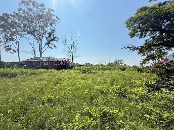 Farm/Plot for Sale in Nyamandlovu, Bulawayo