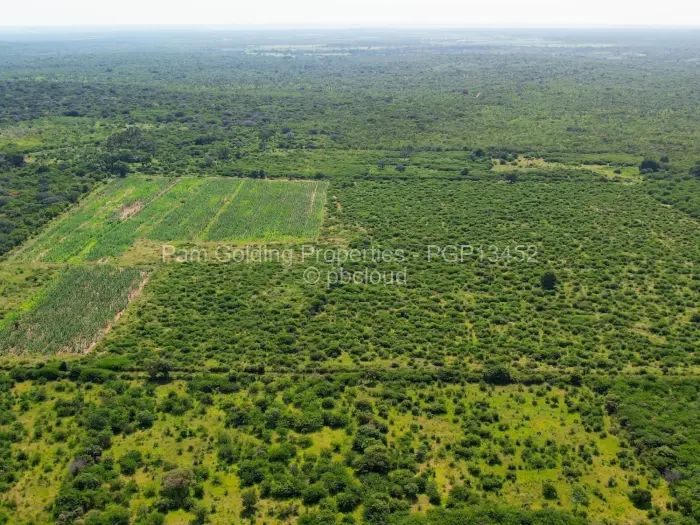 Farm/Plot for Sale in Nyamandlovu, Bulawayo