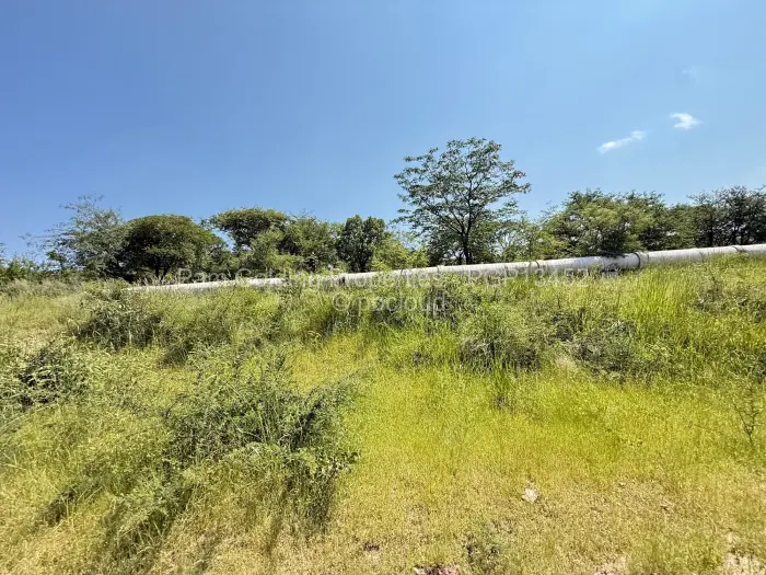 Farm/Plot for Sale in Nyamandlovu, Bulawayo