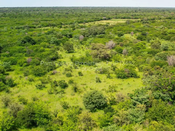 Farm/Plot for Sale in Nyamandlovu, Bulawayo