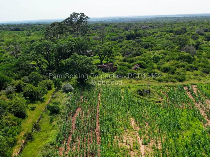 Farm/Plot for Sale in Nyamandlovu, Bulawayo