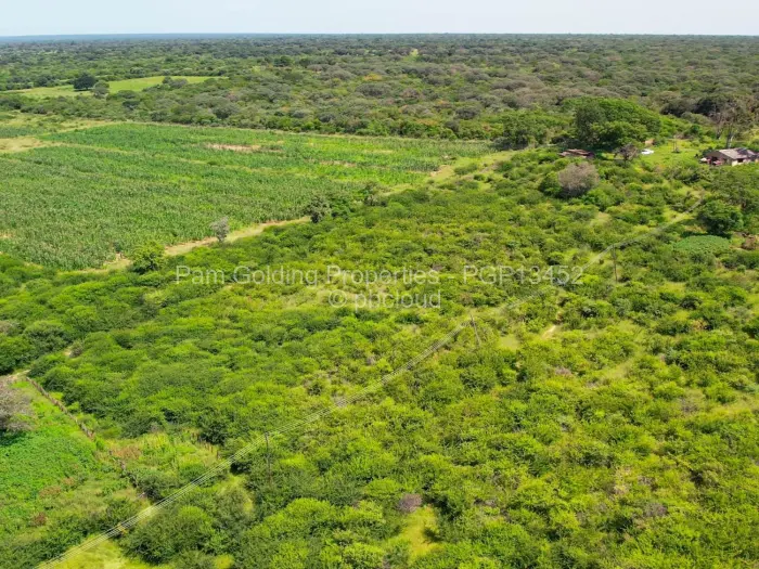 Farm/Plot for Sale in Nyamandlovu, Bulawayo