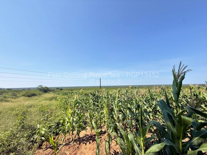 Farm/Plot for Sale in Nyamandlovu, Bulawayo