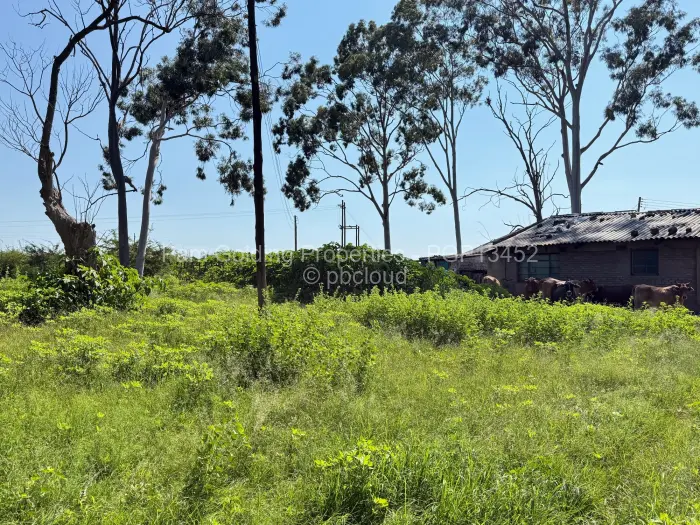 Farm/Plot for Sale in Nyamandlovu, Bulawayo