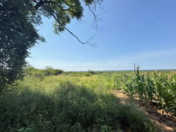 Farm/Plot for Sale in Nyamandlovu, Bulawayo