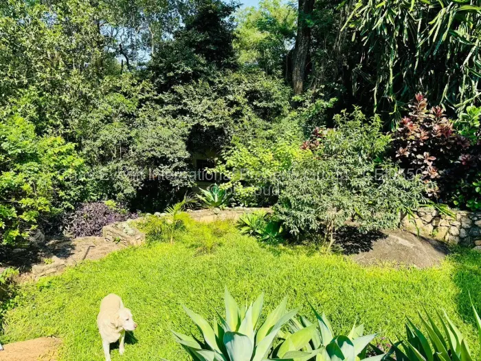 1 Bedroom Cottage/Garden Flat to Rent in Burnside, Bulawayo