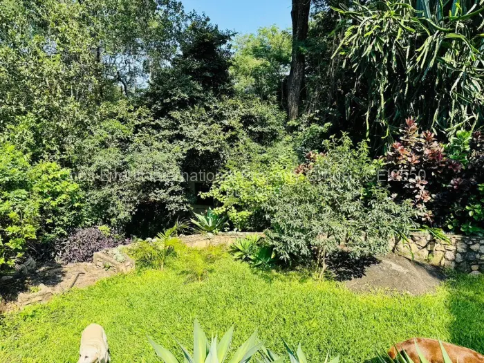 1 Bedroom Cottage/Garden Flat to Rent in Burnside, Bulawayo