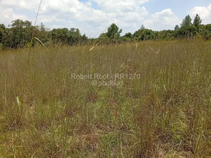 Residential Stand for Sale in Goromonzi, Goromonzi