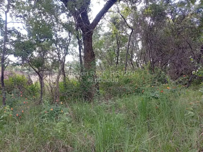 Residential Stand for Sale in Goromonzi, Goromonzi