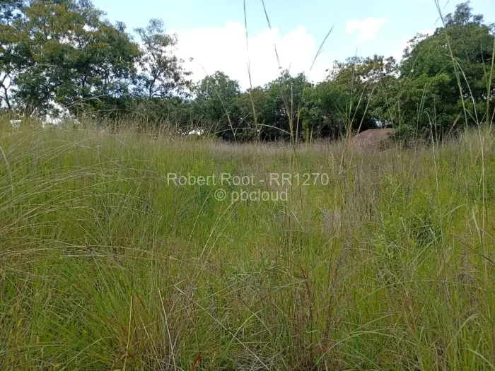 Residential Stand for Sale in Goromonzi, Goromonzi