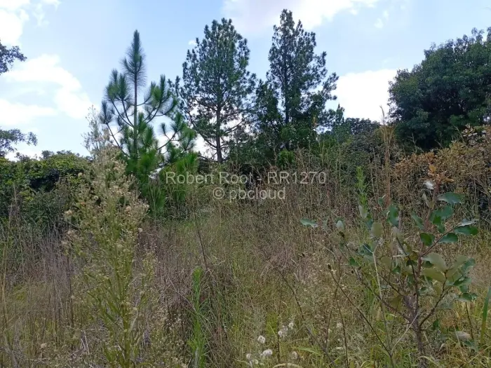 Residential Stand for Sale in Goromonzi, Goromonzi