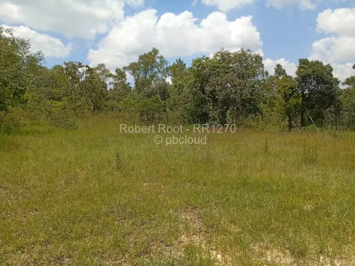Residential Stand for Sale in Goromonzi, Goromonzi