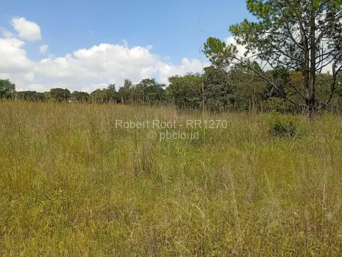 Residential Stand for Sale in Goromonzi, Goromonzi