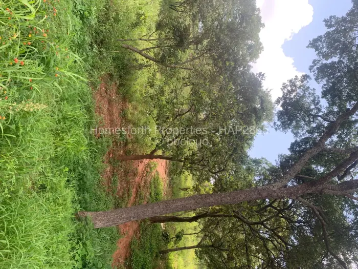 Residential Stand for Sale in Gletwin Park, Harare