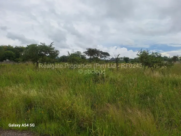 Residential Stand for Sale in Sunning Hill, Bulawayo
