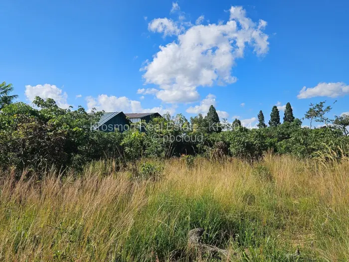 Commercial Stand for Sale in Marondera, Marondera