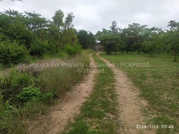Residential Stand for Sale in Munda, Bulawayo