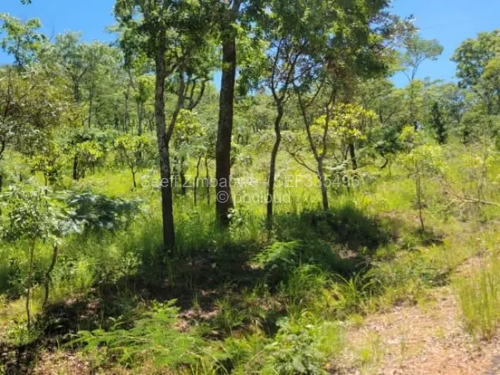 Residential Stand for Sale in Carrick Creagh Estate, Harare