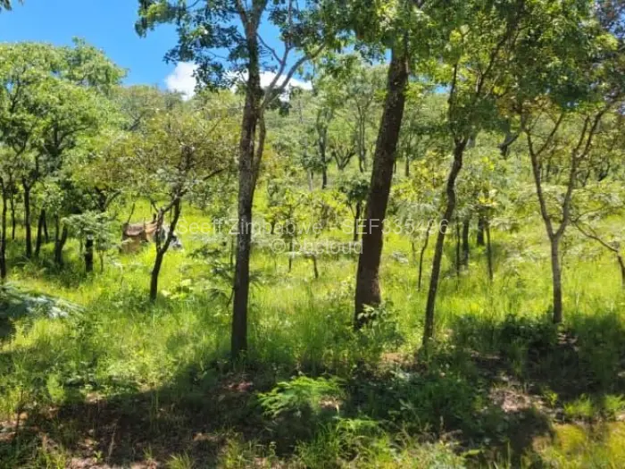 Residential Stand for Sale in Carrick Creagh Estate, Harare