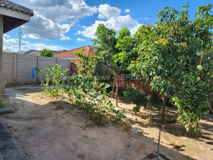 4 Bedroom House for Sale in Springvale, Ruwa