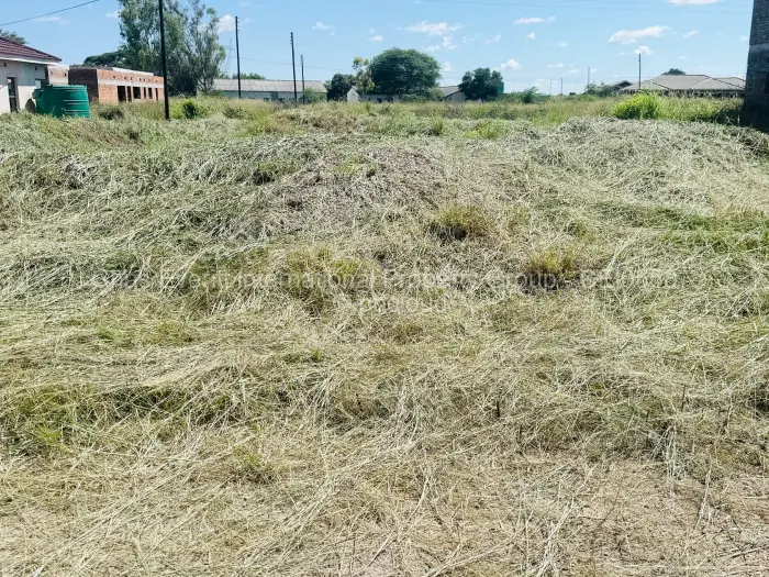 Residential Stand for Sale in Hopeville, Bulawayo