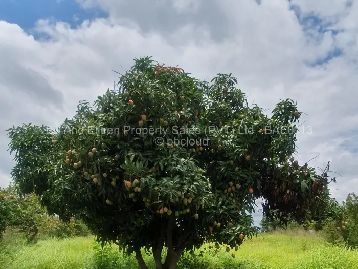 Farm/Plot for Sale in Brackenhurst, Gweru