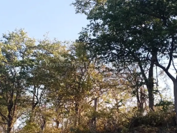 Commercial Stand for Sale in Mlibizi, Kariba