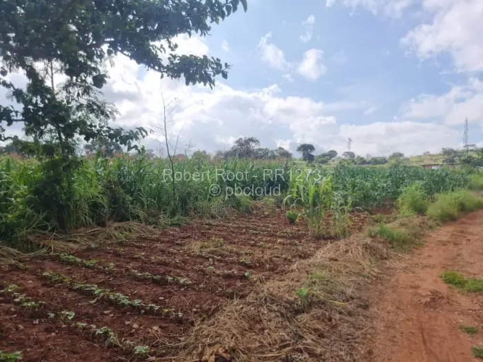 Industrial Stand for Sale in Chinhoyi, Chinhoyi