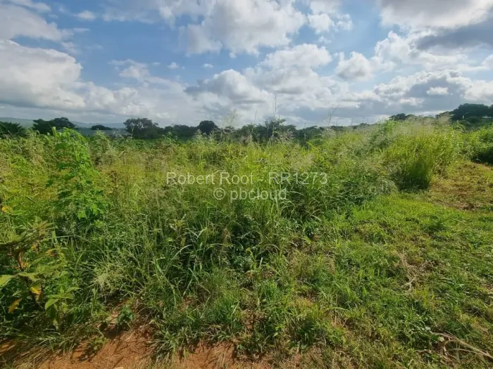 Industrial Stand for Sale in Chinhoyi, Chinhoyi