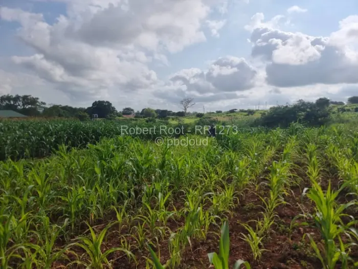 Industrial Stand for Sale in Chinhoyi, Chinhoyi