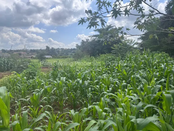 Residential Stand for Sale in The Grange, Harare