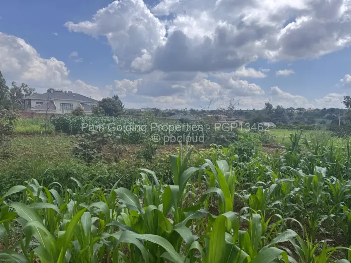 Residential Stand for Sale in The Grange, Harare