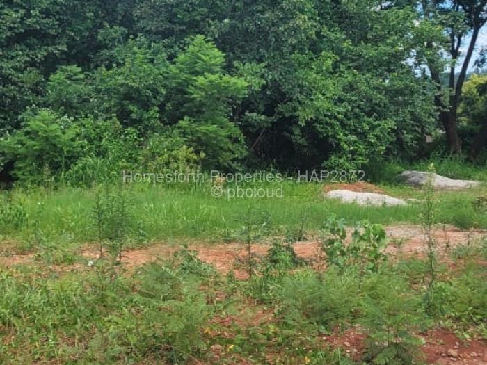 Residential Stand for Sale in Borrowdale, Harare