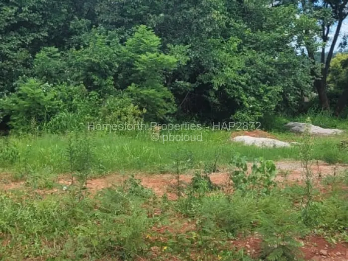 Residential Stand for Sale in Borrowdale, Harare