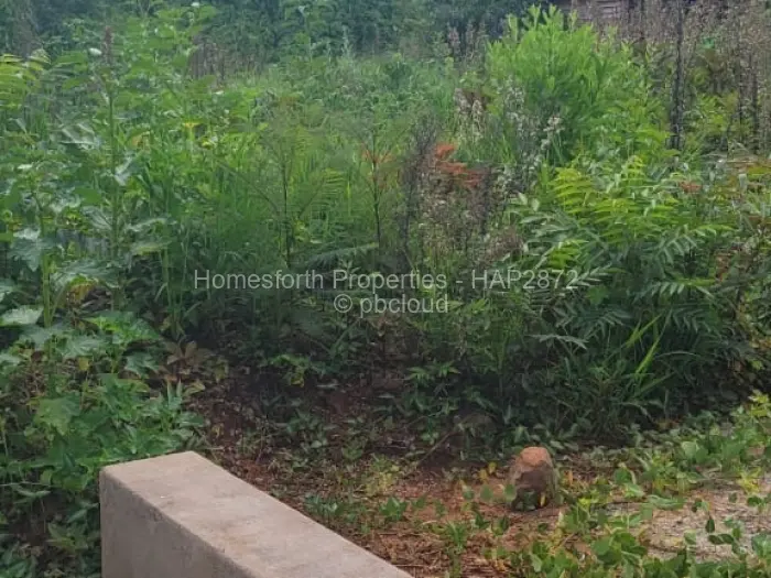 Residential Stand for Sale in Borrowdale, Harare