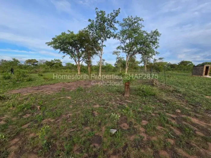 Farm/Plot for Sale in Kadoma, Kadoma