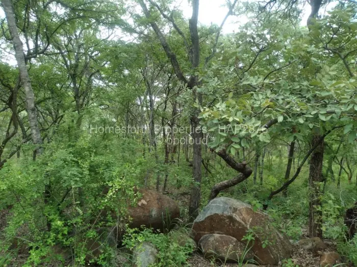 Residential Stand for Sale in Darwendale, Darwendale