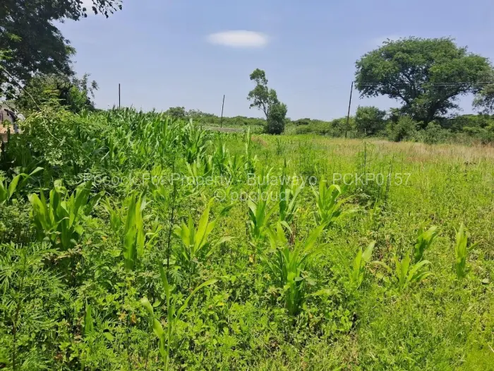 4 Bedroom House for Sale in Trenance, Bulawayo