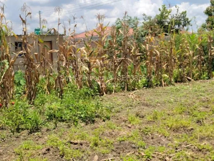 5 Bedroom House for Sale in Sandton Park, Harare