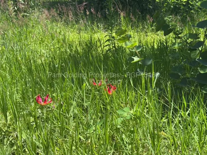 House for Sale in Chisipite, Harare