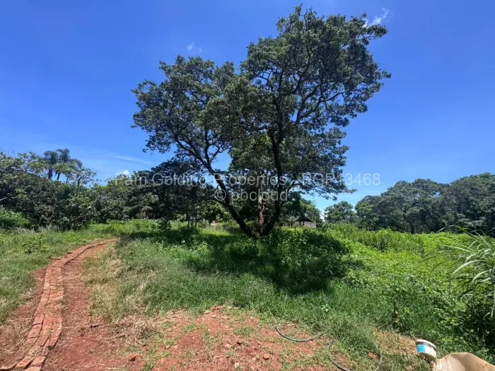 House for Sale in Chisipite, Harare