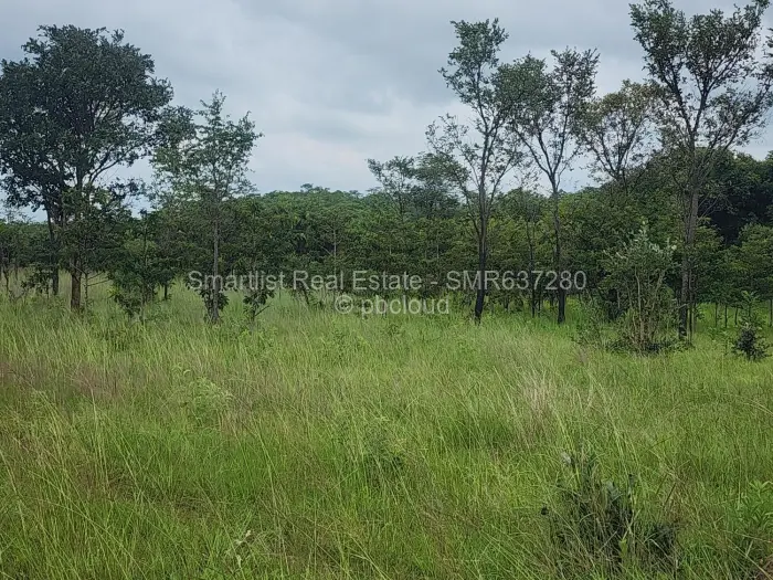 Farm/Plot for Sale in Chinhoyi, Chinhoyi