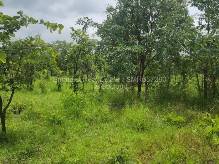 Farm/Plot for Sale in Chinhoyi, Chinhoyi