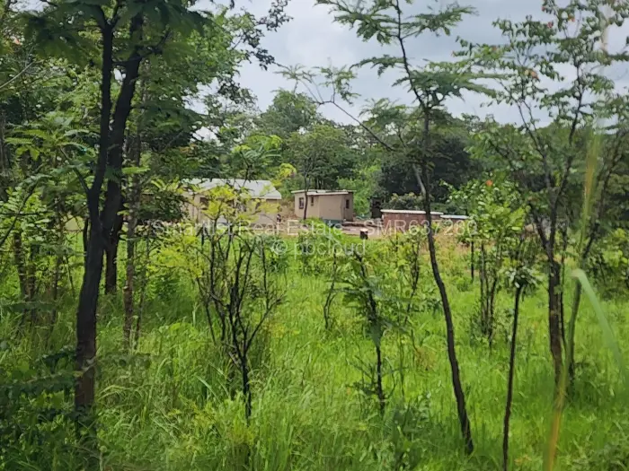 Farm/Plot for Sale in Chinhoyi, Chinhoyi
