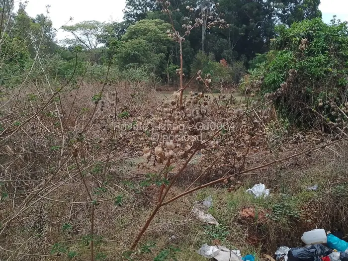 Other Commercial for Sale in Colne Valley, Harare